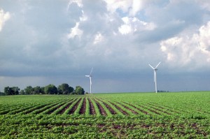 Soybeans, like these planted on a wind farm near Blairsburg, impart less aerodynamic roughness to the air layer near the ground. Credit: Todd Spink, National Renewable Energy Laboratory.